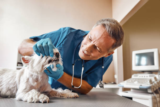 Best Cracked Tooth Emergency Dentist  in Mantua, VA